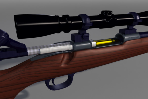 3d 243 deer rifle scope model - .243 Deer Rifle by toRigOrNotToRig