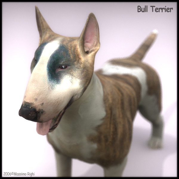 3d model bull terrier - Bull Terrier by Massimo Righi