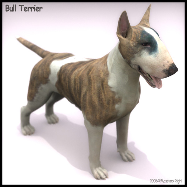 3d model bull terrier - Bull Terrier by Massimo Righi