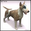 Bull Terrier