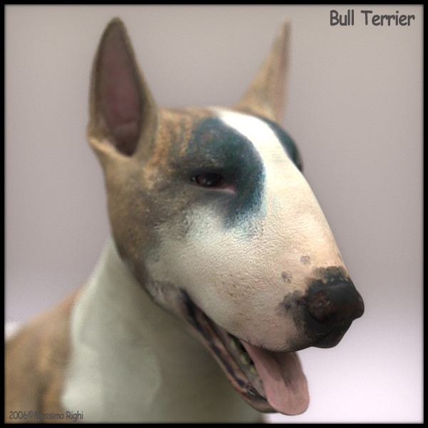 3d model bull terrier - Bull Terrier by Massimo Righi
