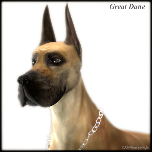 3d great dane model - Great Dane by Massimo Righi