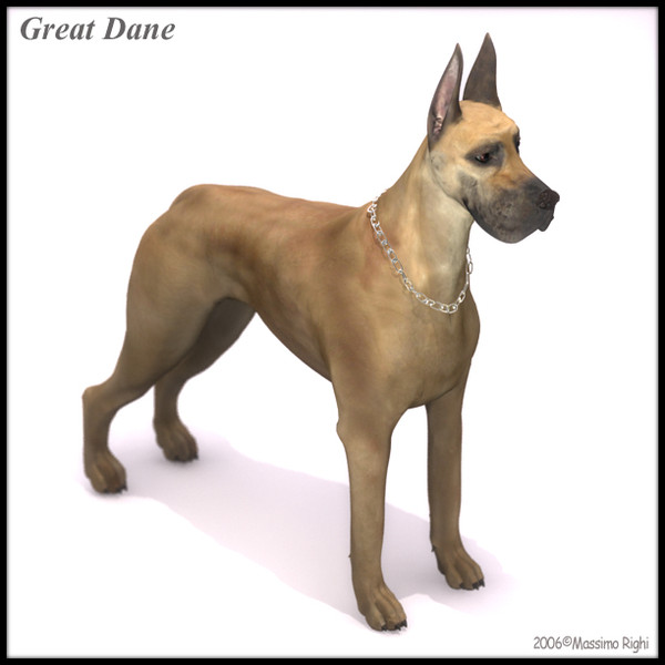 3d great dane model - Great Dane by Massimo Righi