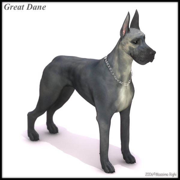 3d great dane model - Great Dane by Massimo Righi