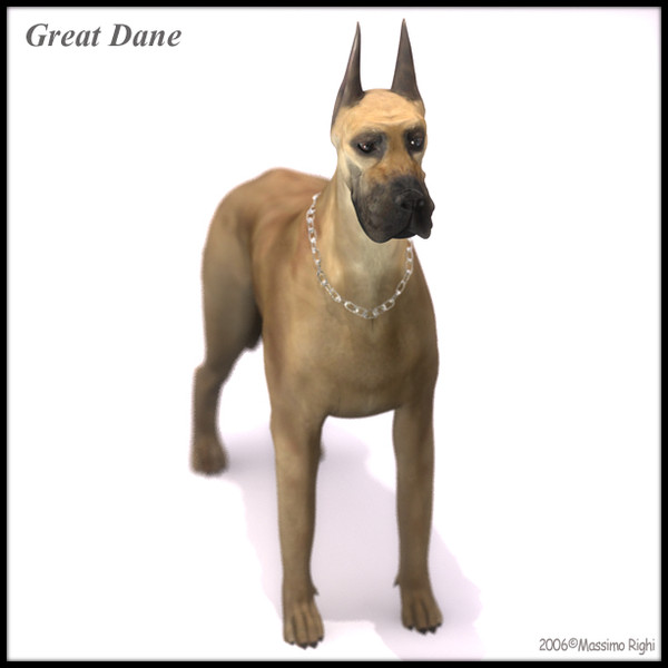 3d great dane model - Great Dane by Massimo Righi