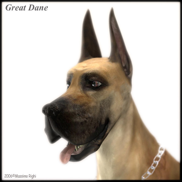 3d great dane model - Great Dane by Massimo Righi
