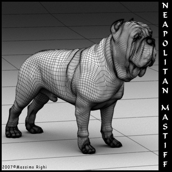 neapolitan mastiff 3d model - Neapolitan Mastiff by Massimo Righi