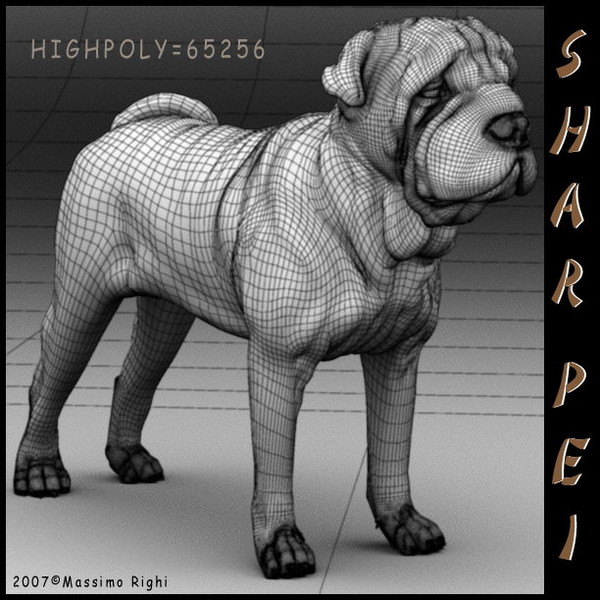 3d model shar pei - Shar Pei by Massimo Righi