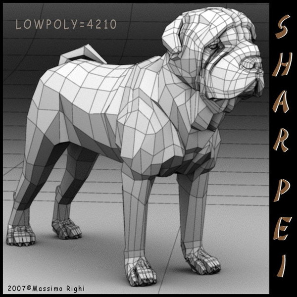 3d model shar pei - Shar Pei by Massimo Righi
