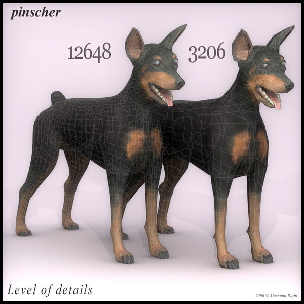 pinscher dog 3d model - Pinscher by Massimo Righi