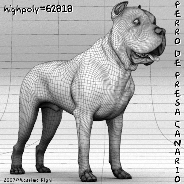 perro presa canario dog 3d x - Perro de Presa Canario by Massimo Righi