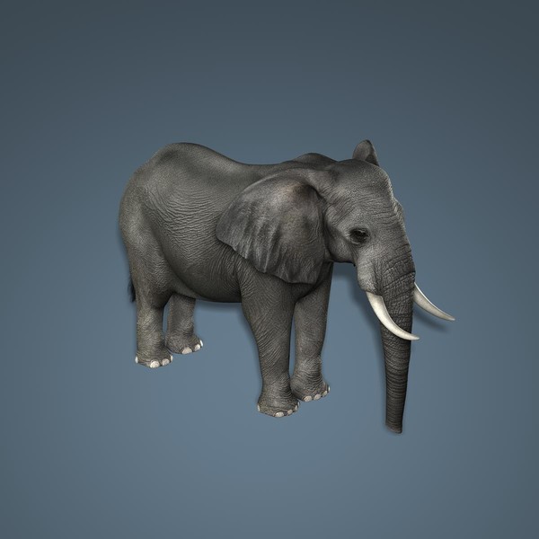 3d photorealistic african elephant rigged model - African Elephant (2)  (RIGGED) by Massimo Righi