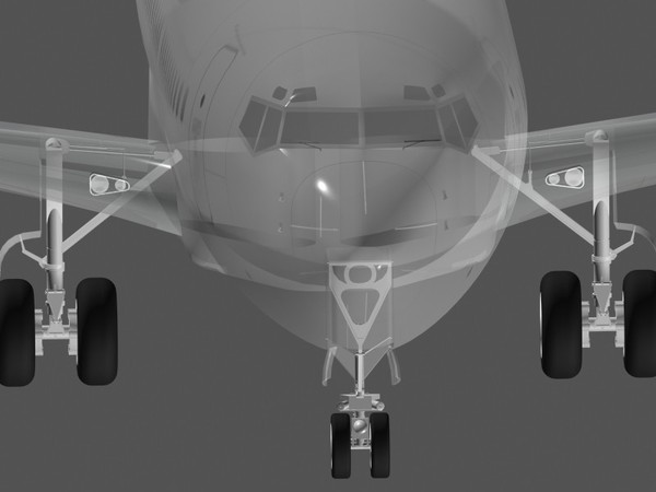 boeing dreamliner 3d obj - Boeing 737-900 ER Dreamliner by PedroFaut