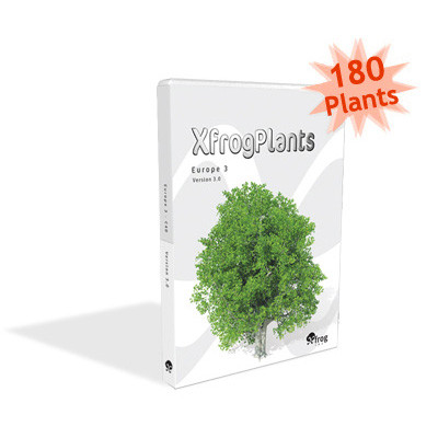 cappadocian maple planted 3d c4d - XfrogPlants Cappadocian Maple by xfrog