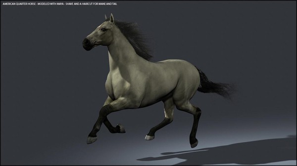 Horses