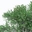 XfrogPlants Service Tree