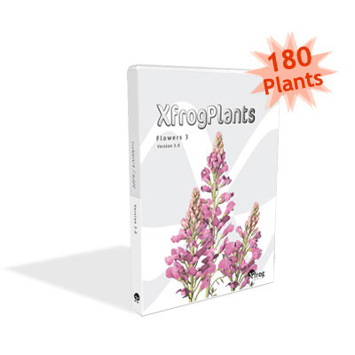 3ds max orchid phalaenopsis sp - XfrogPlants Orchid by xfrog