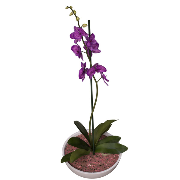 3ds max orchid phalaenopsis sp - XfrogPlants Orchid by xfrog