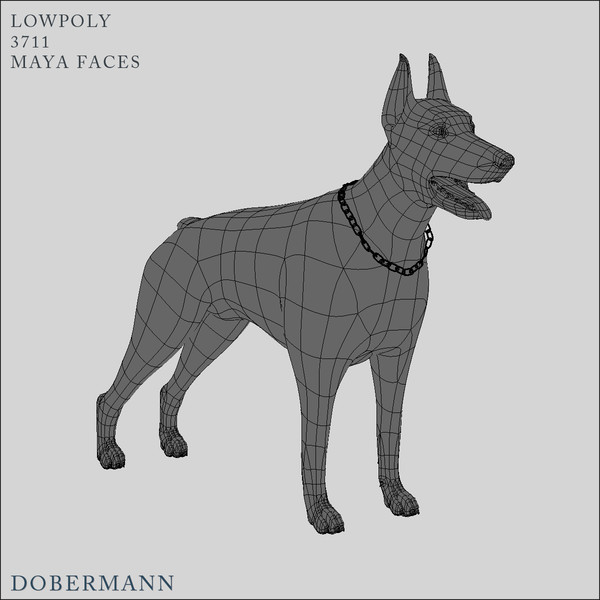 obj doberman dobermann - Dobermann by Massimo Righi