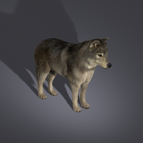 Wolf (FUR)