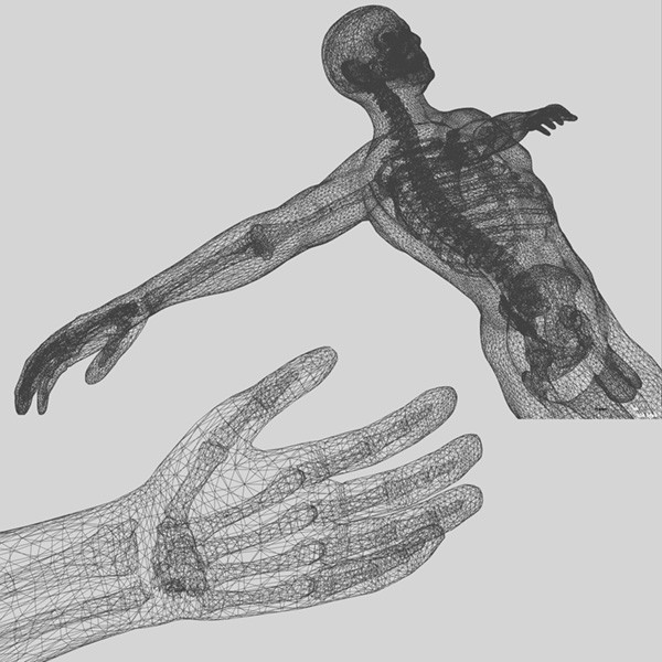 Human Body (Male)
