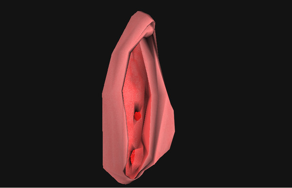 3d female girl vagina - NVS by Rabidpixel