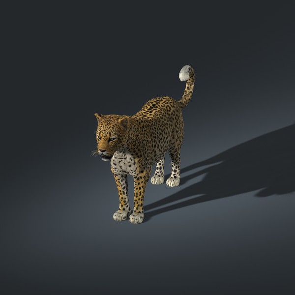 Leopard (FUR)