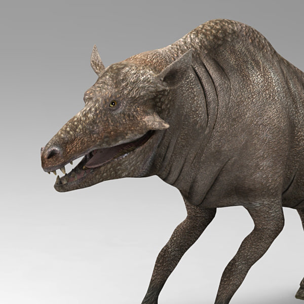 Entelodont