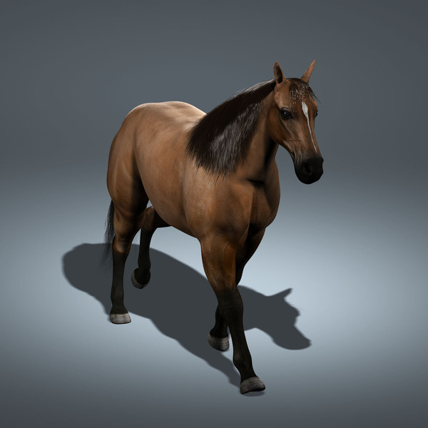 3d realistic horse model - Horse (ANIMATED) by Massimo Righi