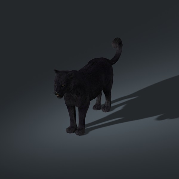 Black Panther 3d model - Black Panther (FUR) by Massimo Righi