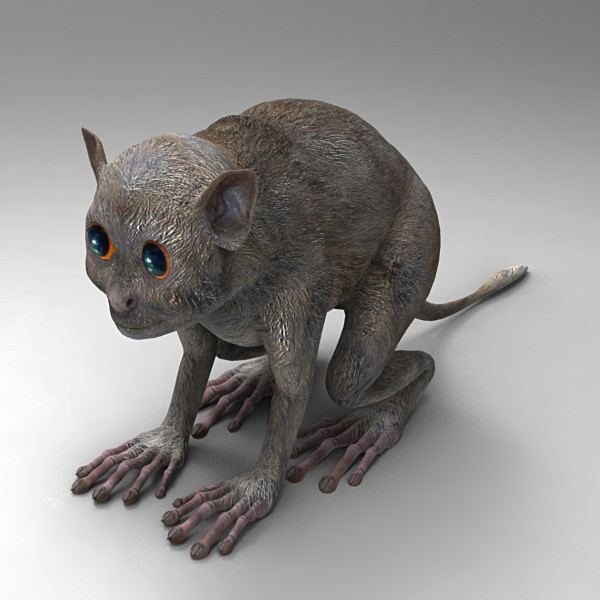 3ds max body tarsiers - Tarsiers by 3d_Wanderer