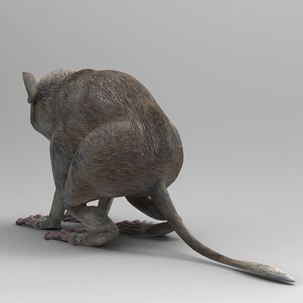 3ds max body tarsiers - Tarsiers by 3d_Wanderer