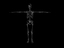 skeleton