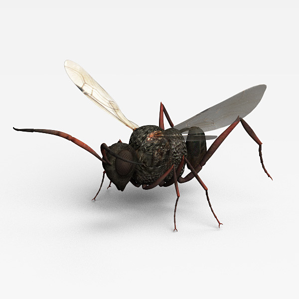 maya fly devil - Wasp Devil by 3d_Wanderer