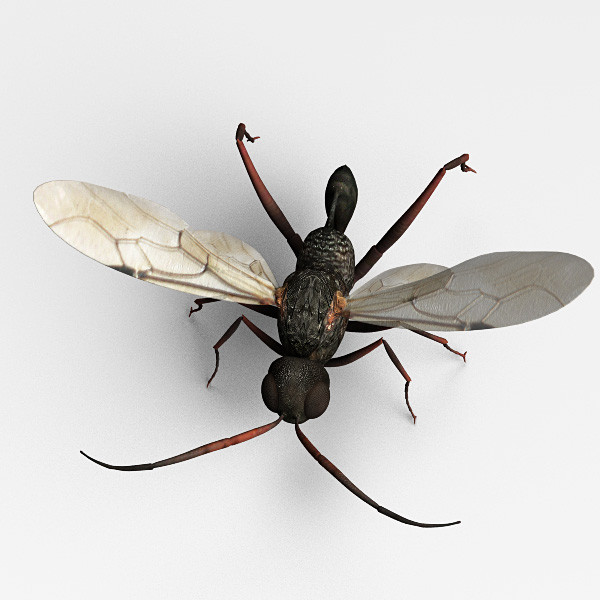 maya fly devil - Wasp Devil by 3d_Wanderer