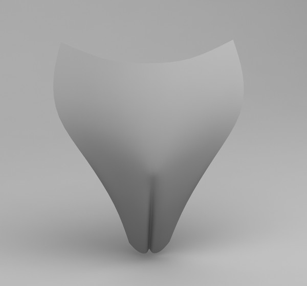 vagina 3d model - Vagina by dentonvanzan