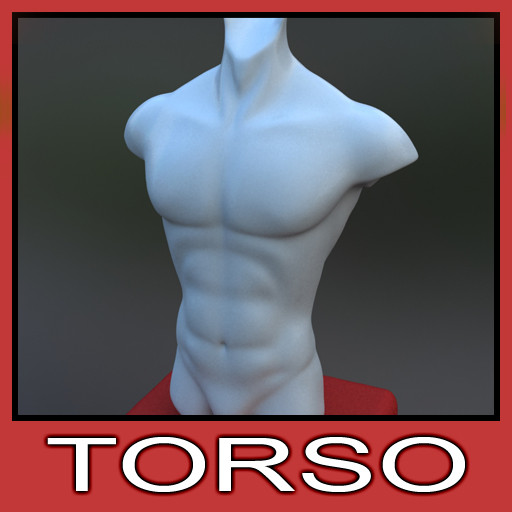 Zbrush ready male torso model 3D Models