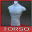 Zbrush ready male torso model