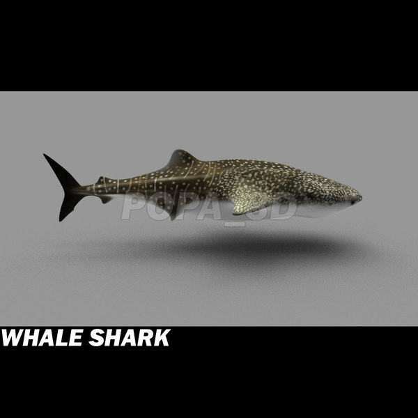 3d 3ds whale shark - Whale Shark by POPA_3D