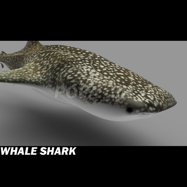 3d 3ds whale shark - Whale Shark by POPA_3D