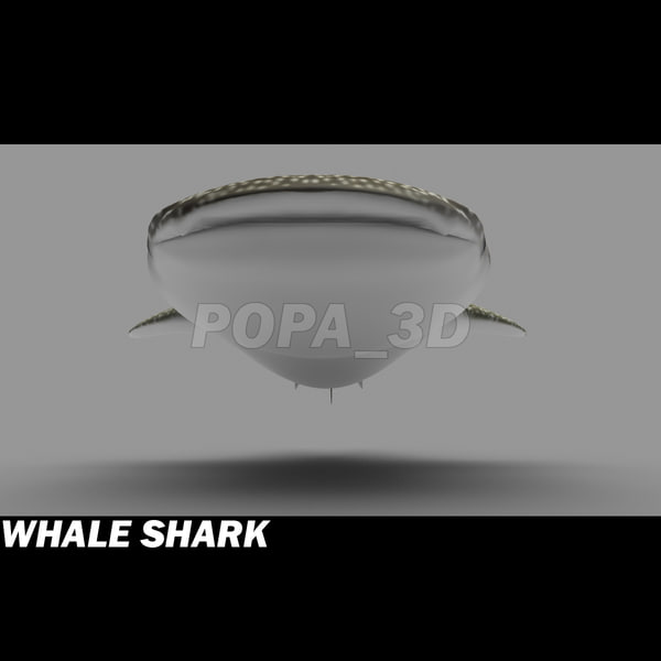 3d 3ds whale shark - Whale Shark by POPA_3D
