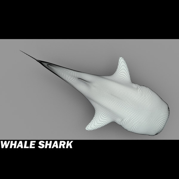 3d 3ds whale shark - Whale Shark by POPA_3D