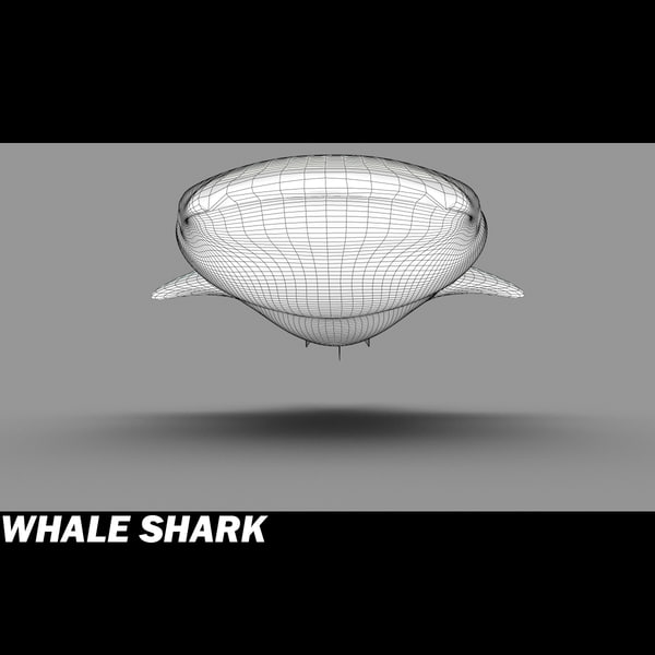 3d 3ds whale shark - Whale Shark by POPA_3D