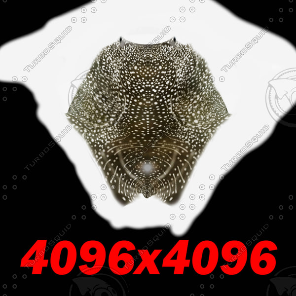 3d 3ds whale shark - Whale Shark by POPA_3D