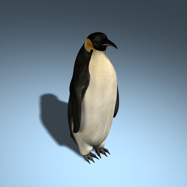 Penguin
