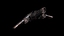 Starfighter 3