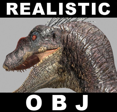 The Ultimate Raptor OBJ 3D Models