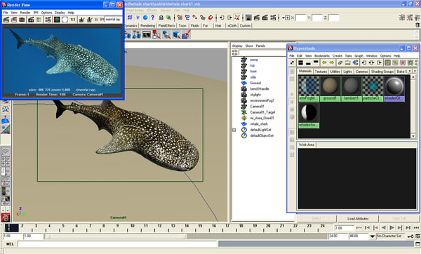 3d 3ds whale shark - Whale Shark by POPA_3D