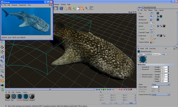3d 3ds whale shark - Whale Shark by POPA_3D