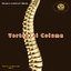 Human Vertebral Column